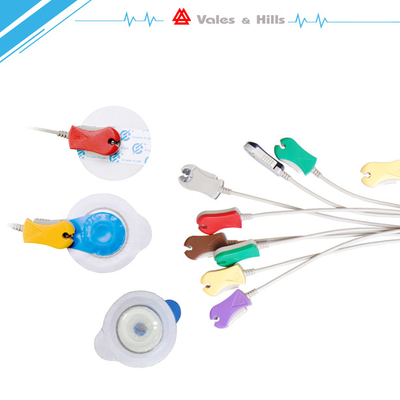 White PC Based Portable Stress ECG Machine With Bluetooth Module ICV1200